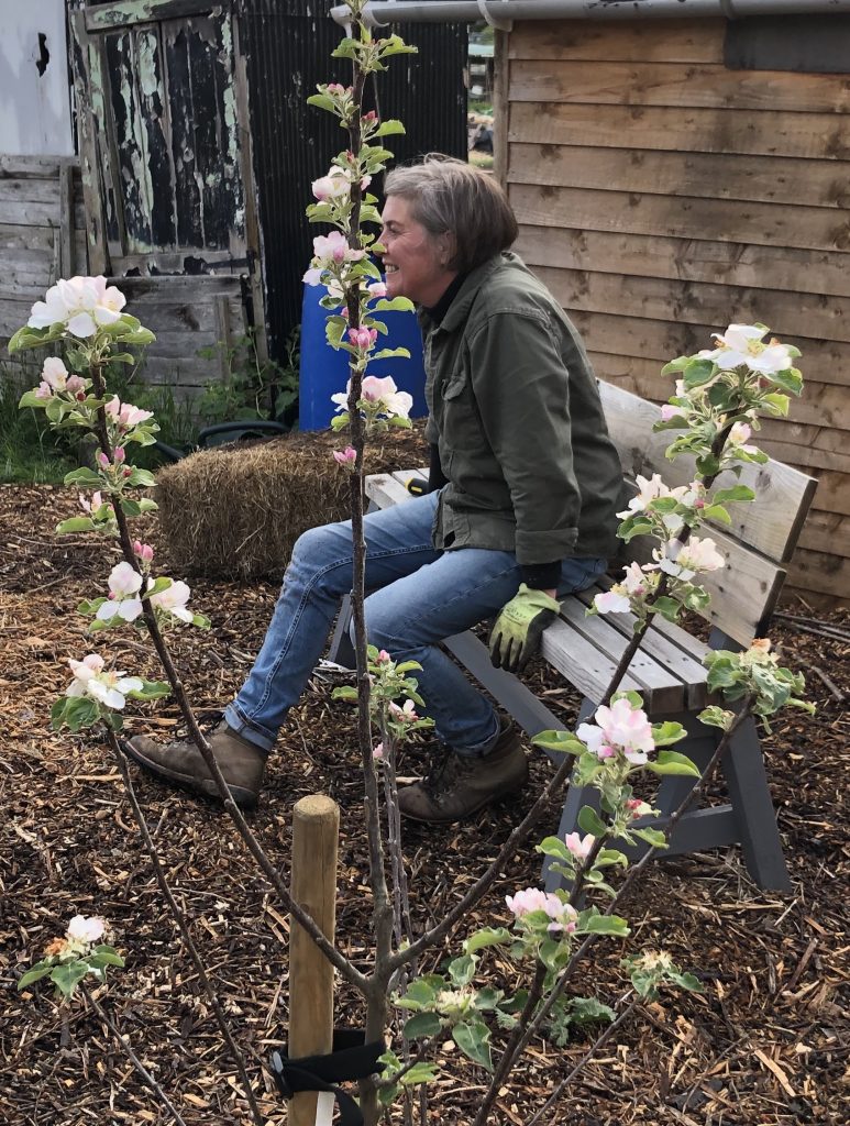Mandy chief of organic allotment garden growing at Silver Acres