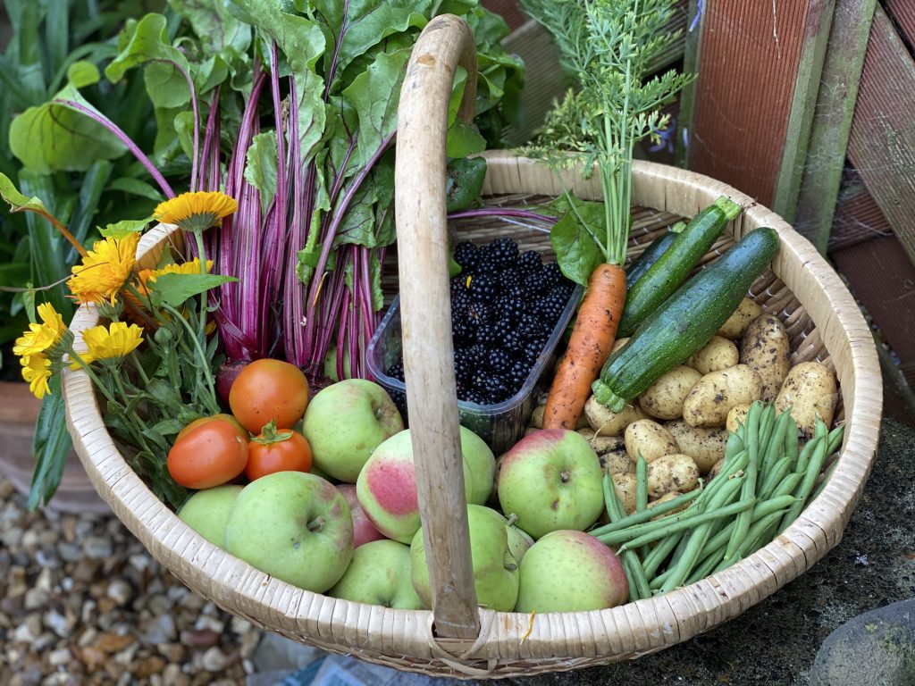 Basket of vegetables showing the benefits of allotment garden growing