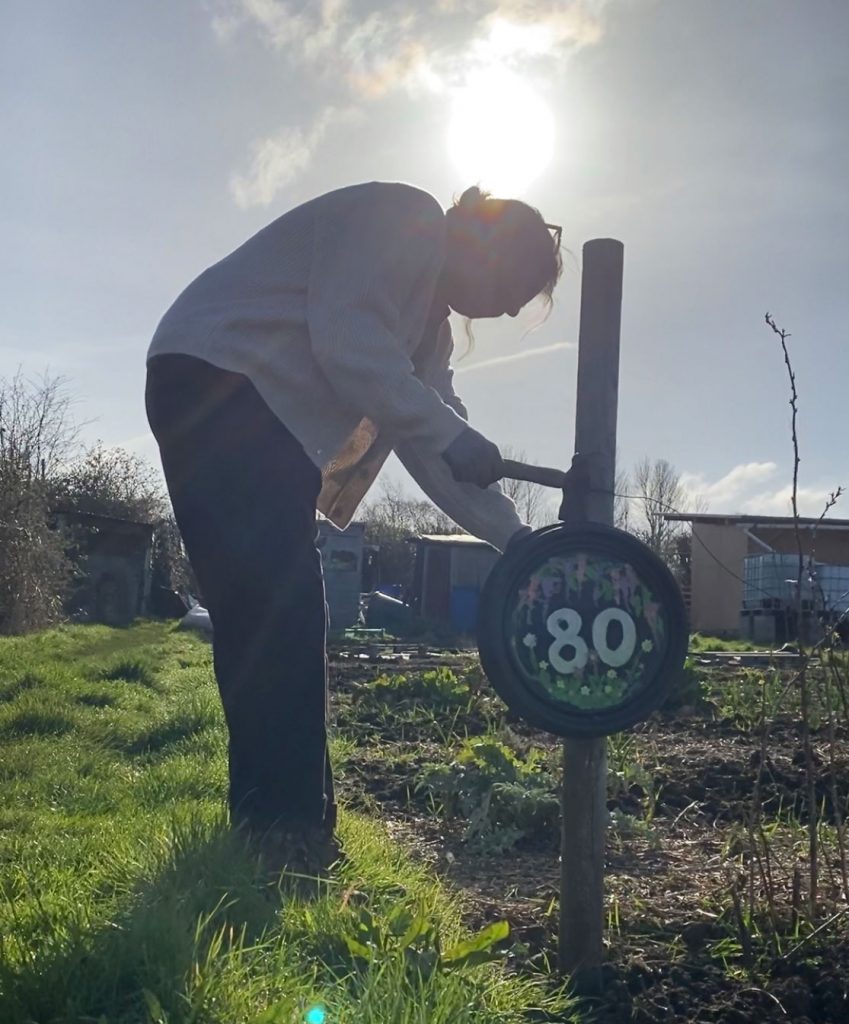 Staking your plot number is a satisfying start to allotment garden growing