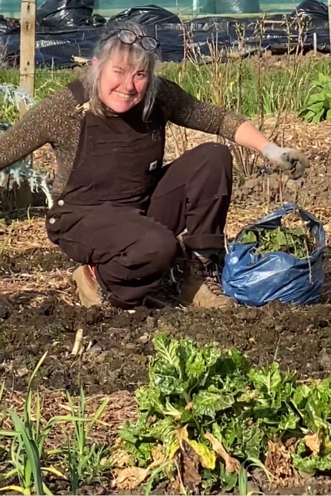 Mandy from Silver Acres Allotment Garden Growing