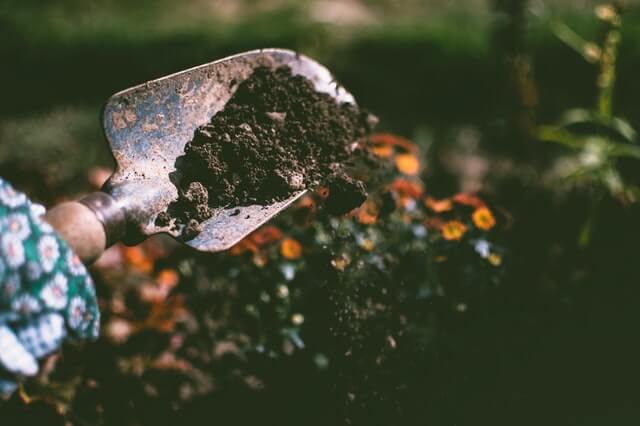 Getting to know your soil is part of the first step to plan your new allotment