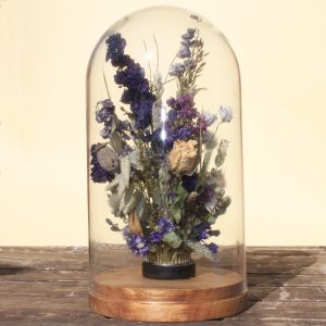 Large Larkspur Dried Flower Dome